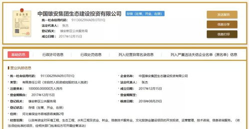 私募大消息 “中字头”信息系统集成基金悄然备案，强大股东背景曝光